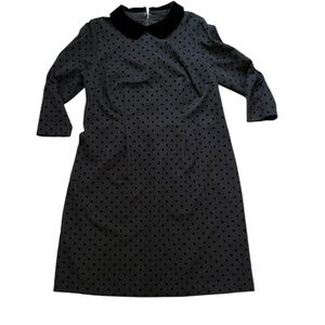 Talbots Plus Velvet Collar Polka Dot Black Dress 14W Long Sleeve
